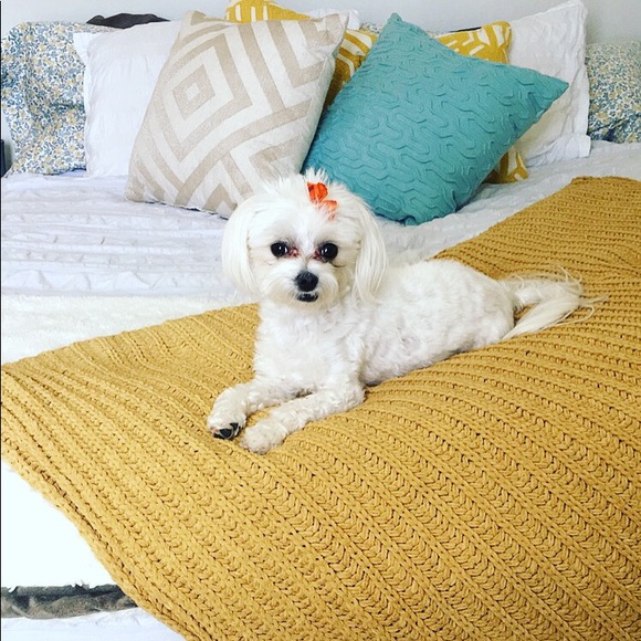 Meet your Posher, Lora - Picture 2 of 2